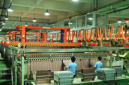 S&L Circuit board wiring
