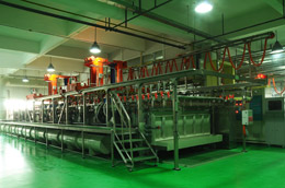 S&L Cu immersion line