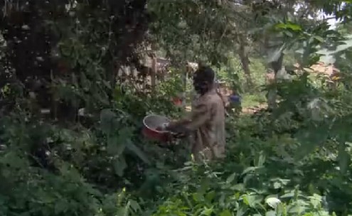 柔性線路板