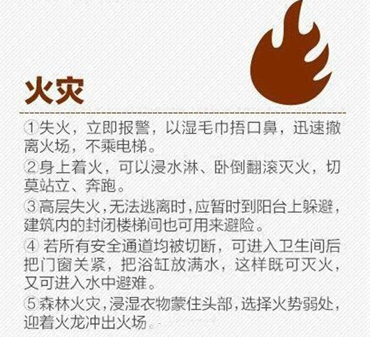 FPC廠家