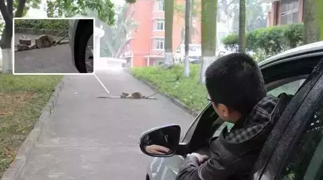 FPC軟板廠