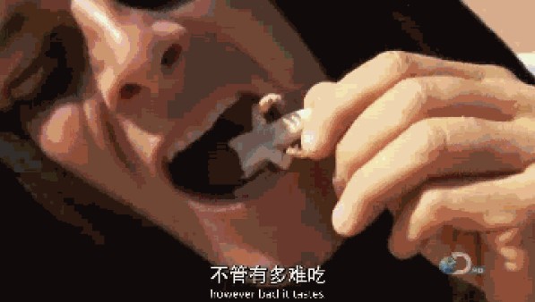 fpc廠